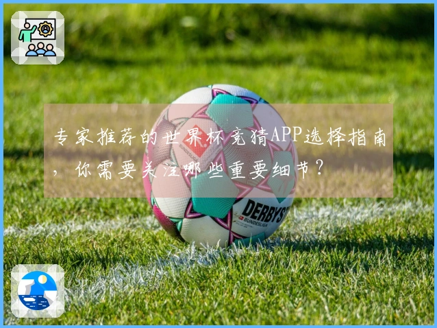 专家推荐的世界杯竞猜APP选择指南，你需要关注哪些重要细节？
