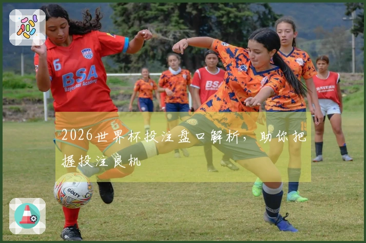 2026世界杯投注盘口解析，助你把握投注良机