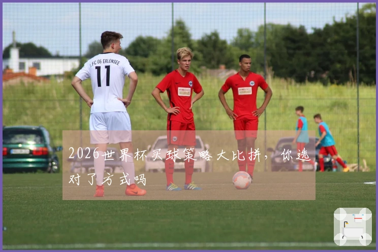 2026世界杯买球策略大比拼，你选对了方式吗
