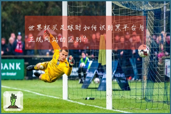 世界杯买足球时如何识别黑平台与正规网站的区别？