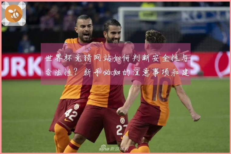 世界杯竞猜网站如何判断安全性与合法性？新手必知的注意事项和建议