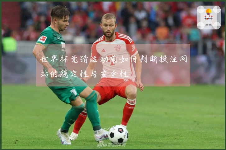 世界杯竞猜活动前如何判断投注网站的稳定性与安全性