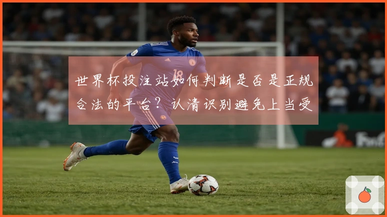 世界杯投注站如何判断是否是正规合法的平台？认清识别避免上当受骗
