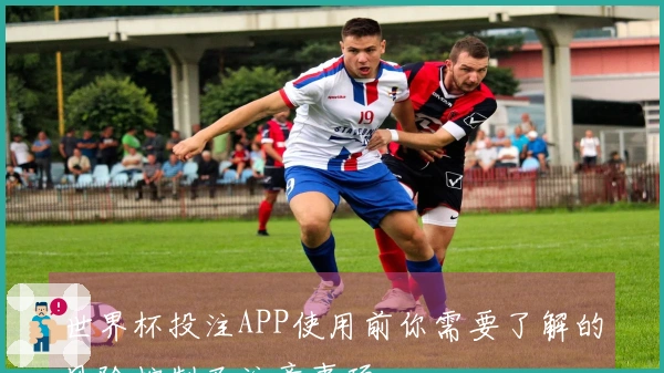世界杯投注APP使用前你需要了解的风险控制及注意事项