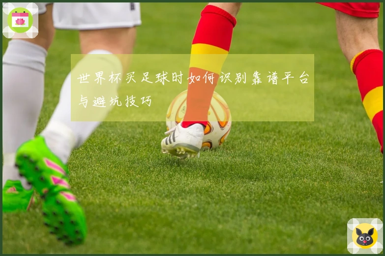 世界杯买足球时如何识别靠谱平台与避坑技巧