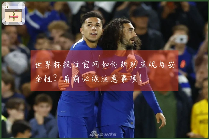 世界杯投注官网如何辨别正规与安全性？看前必读注意事项！