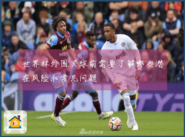 世界杯外围买球前需要了解哪些潜在风险和常见问题