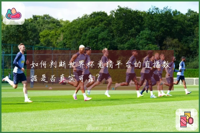 如何判断世界杯竞猜平台的直播数据是否真实可靠？