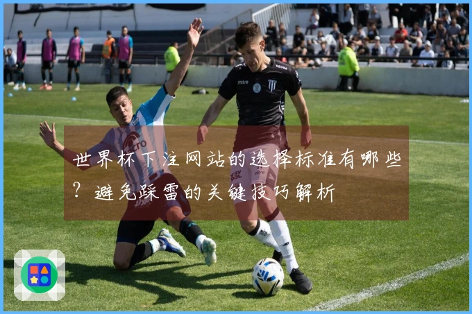 世界杯下注网站的选择标准有哪些？避免踩雷的关键技巧解析