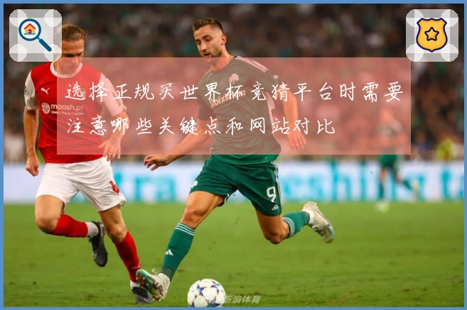 选择正规买世界杯竞猜平台时需要注意哪些关键点和网站对比