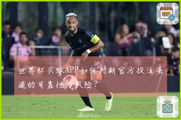 世界杯买球APP如何判断官方投注渠道的可靠性与风险？