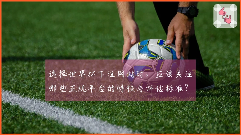 选择世界杯下注网站时，应该关注哪些正规平台的特征与评估标准？