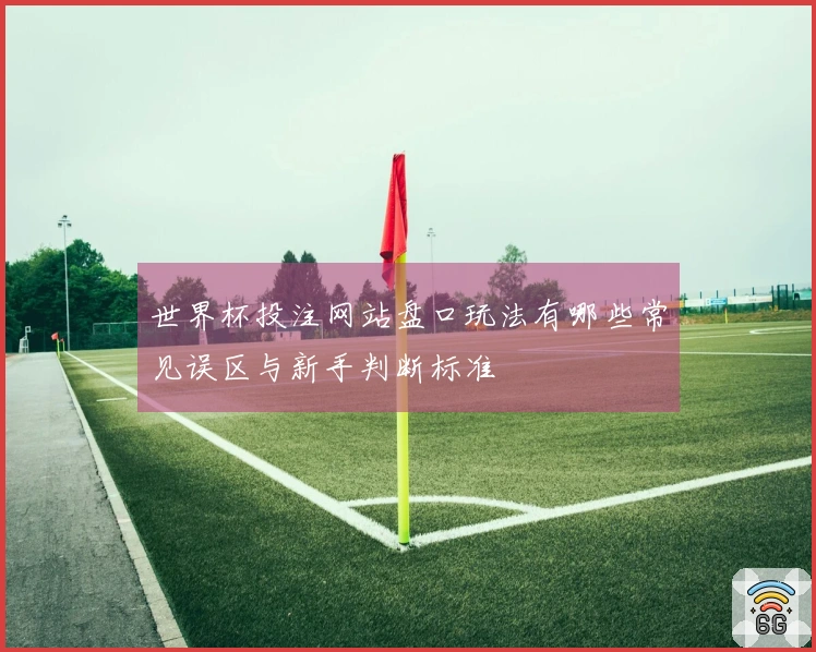 世界杯投注网站盘口玩法有哪些常见误区与新手判断标准