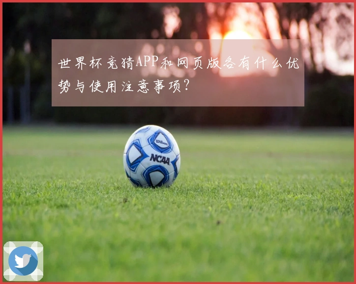 世界杯竞猜APP和网页版各有什么优势与使用注意事项？