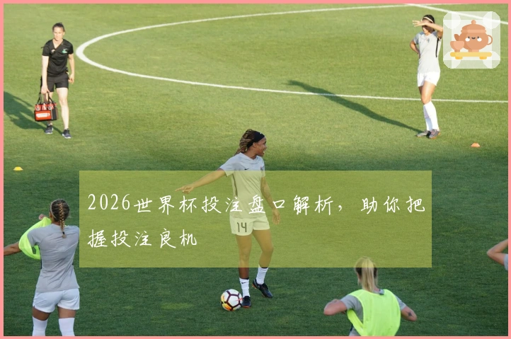 2026世界杯投注盘口解析，助你把握投注良机