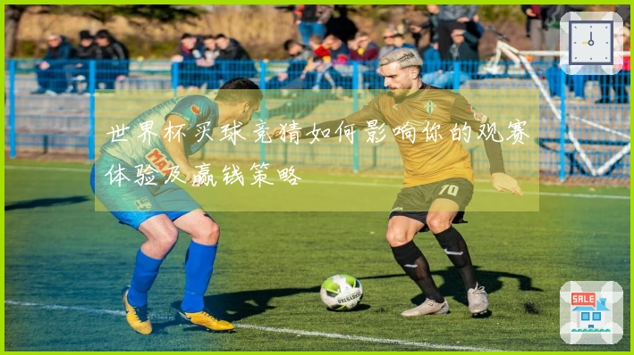 世界杯买球竞猜如何影响你的观赛体验及赢钱策略