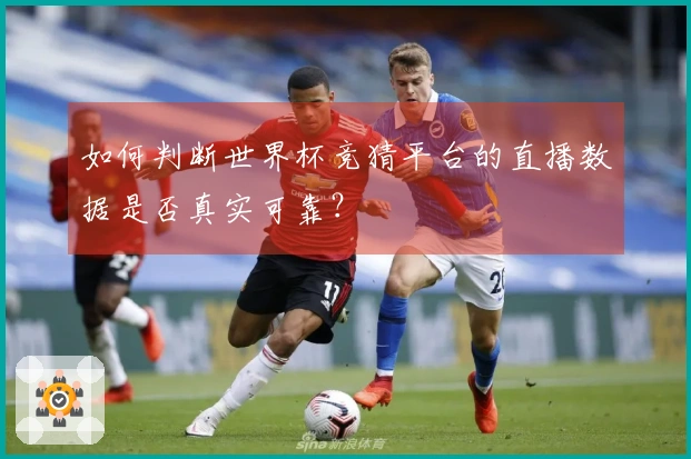 如何判断世界杯竞猜平台的直播数据是否真实可靠？