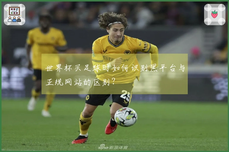 世界杯买足球时如何识别黑平台与正规网站的区别?