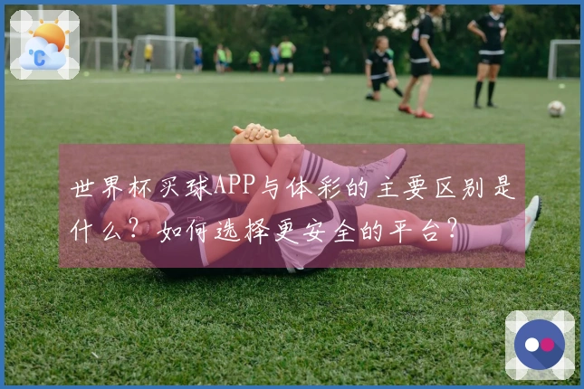 世界杯买球APP与体彩的主要区别是什么？如何选择更安全的平台？