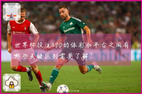 世界杯投注app的体彩和平台之间有哪些关键区别需要了解？