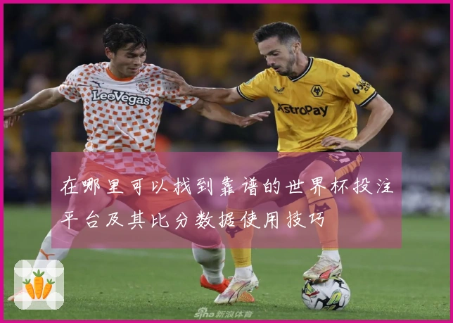 在哪里可以找到靠谱的世界杯投注平台及其比分数据使用技巧