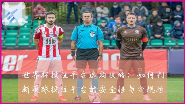 世界杯投注平台选购攻略：如何判断滚球投注平台的安全性与合规性？