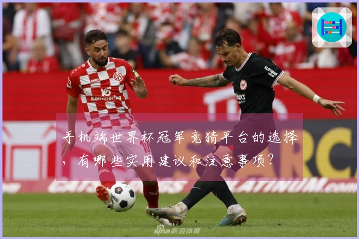 手机端世界杯冠军竞猜平台的选择，有哪些实用建议和注意事项？