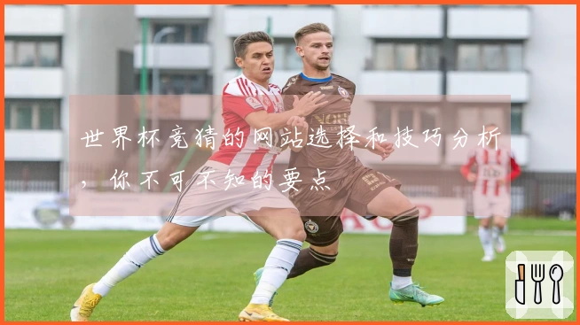 世界杯竞猜的网站选择和技巧分析，你不可不知的要点