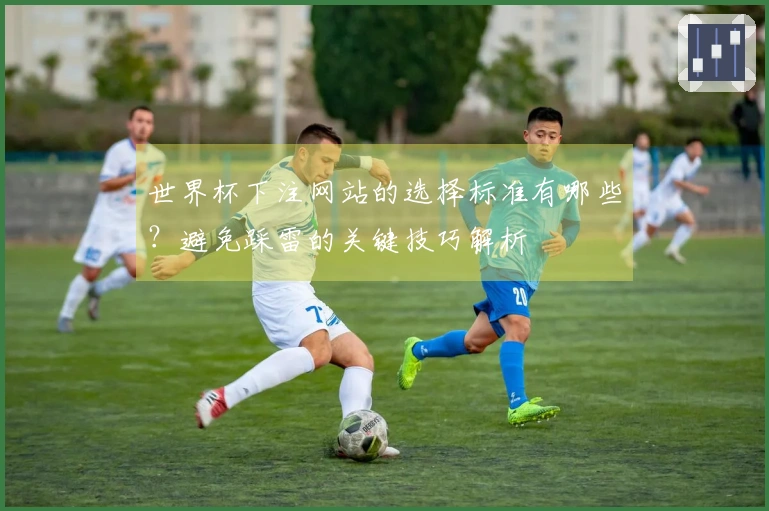 世界杯下注网站的选择标准有哪些？避免踩雷的关键技巧解析